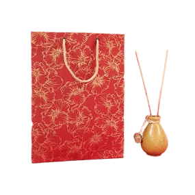 Devraaj Eco-friendly Handmade paper Bags (Red) set of 25 bags